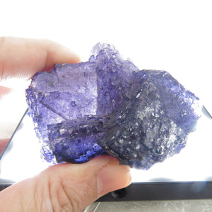 Rare locality Purple Fluorite from Mexico MFL18