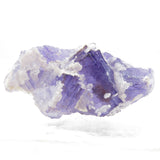 Rare locality Purple Fluorite from Mexico MFL20