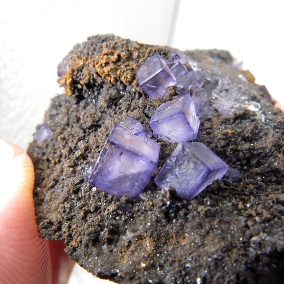 Rare locality Purple Fluorite from Mexico MFL23