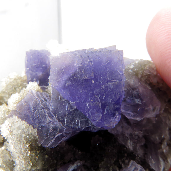 Rare locality Purple Fluorite from Mexico MFL26