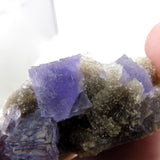 Rare locality Purple Fluorite from Mexico MFL26