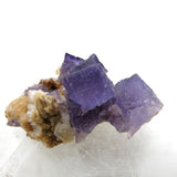 Rare locality Purple Fluorite from Mexico MFL28