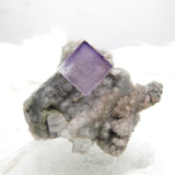 Rare locality Purple Fluorite from Mexico MFL29