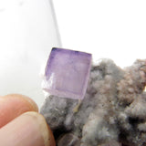 Rare locality Purple Fluorite from Mexico MFL29