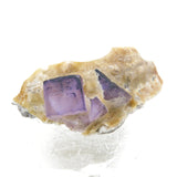 Rare locality Purple Fluorite from Mexico MFL30