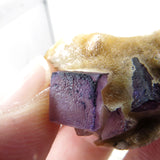 Rare locality Purple Fluorite from Mexico MFL30