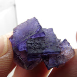 Rare locality Purple Fluorite from Mexico MFL31