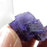 Rare locality Purple Fluorite from Mexico MFL31