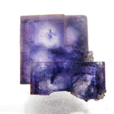 Rare locality Purple Fluorite from Mexico MFL32