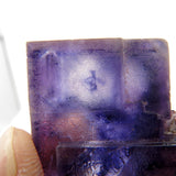 Rare locality Purple Fluorite from Mexico MFL32