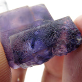 Rare locality Purple Fluorite from Mexico MFL32