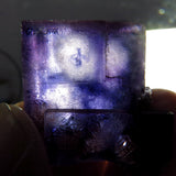 Rare locality Purple Fluorite from Mexico MFL32