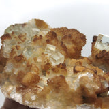 Gobi Desert Gemmy Clear Green Fluorite FL126R