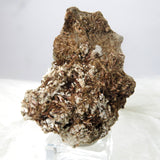 Rare Fibrous Golden Astrophyllite from Russia XX012