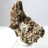 Rare Fibrous Golden Astrophyllite from Russia XX012