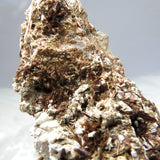 Rare Fibrous Golden Astrophyllite from Russia XX012